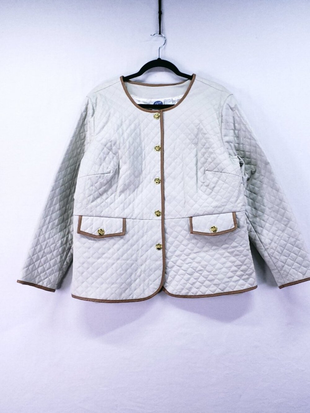 Vintage DG2 by Diane Gilman 100% Leather Jacket Size 1X Quilted Collarles Preppy